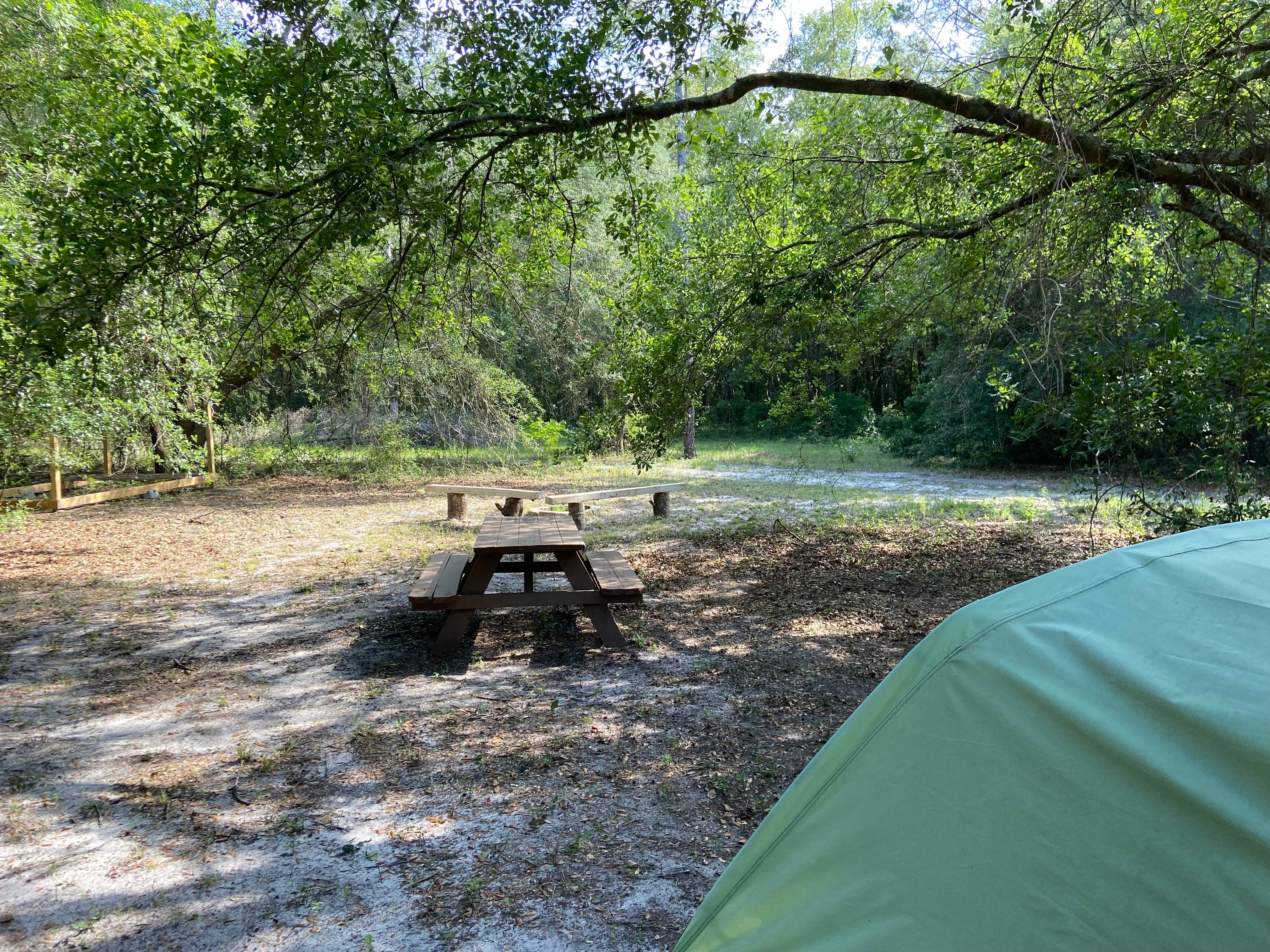 timothy H.'s photo at The Idea Farm, Agritourism Destination near Lake City, FL