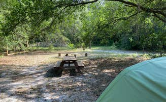 timothy H.'s photo at The Idea Farm, Agritourism Destination near Osceola National Forest