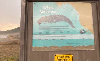 Audrey H.'s photo of camping with pets at Westport Union Landing State Beach — Westport-Union Landing State Beach near Caspar, CA