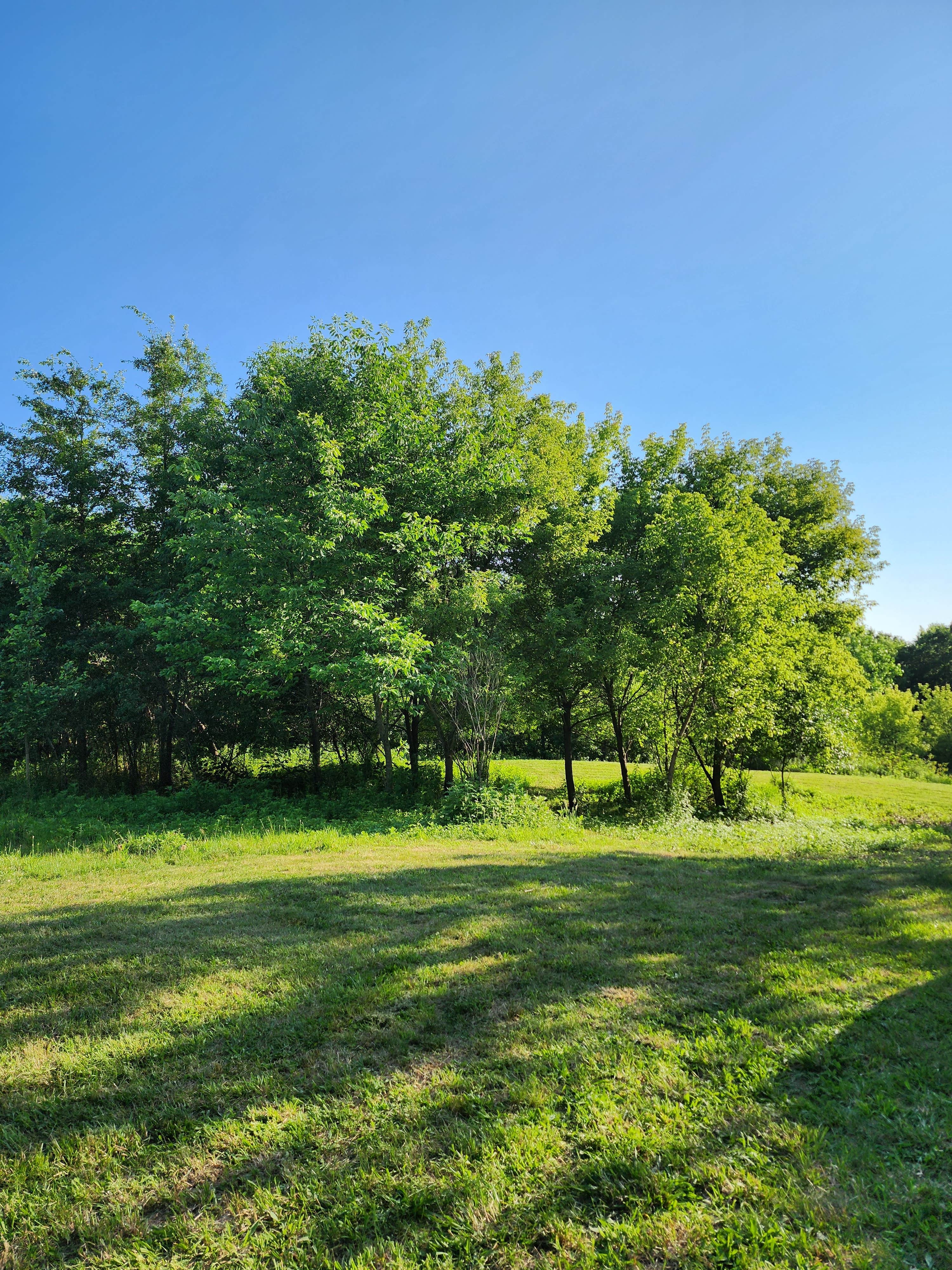 Camper-submitted photo at Not Available near Poland, OH