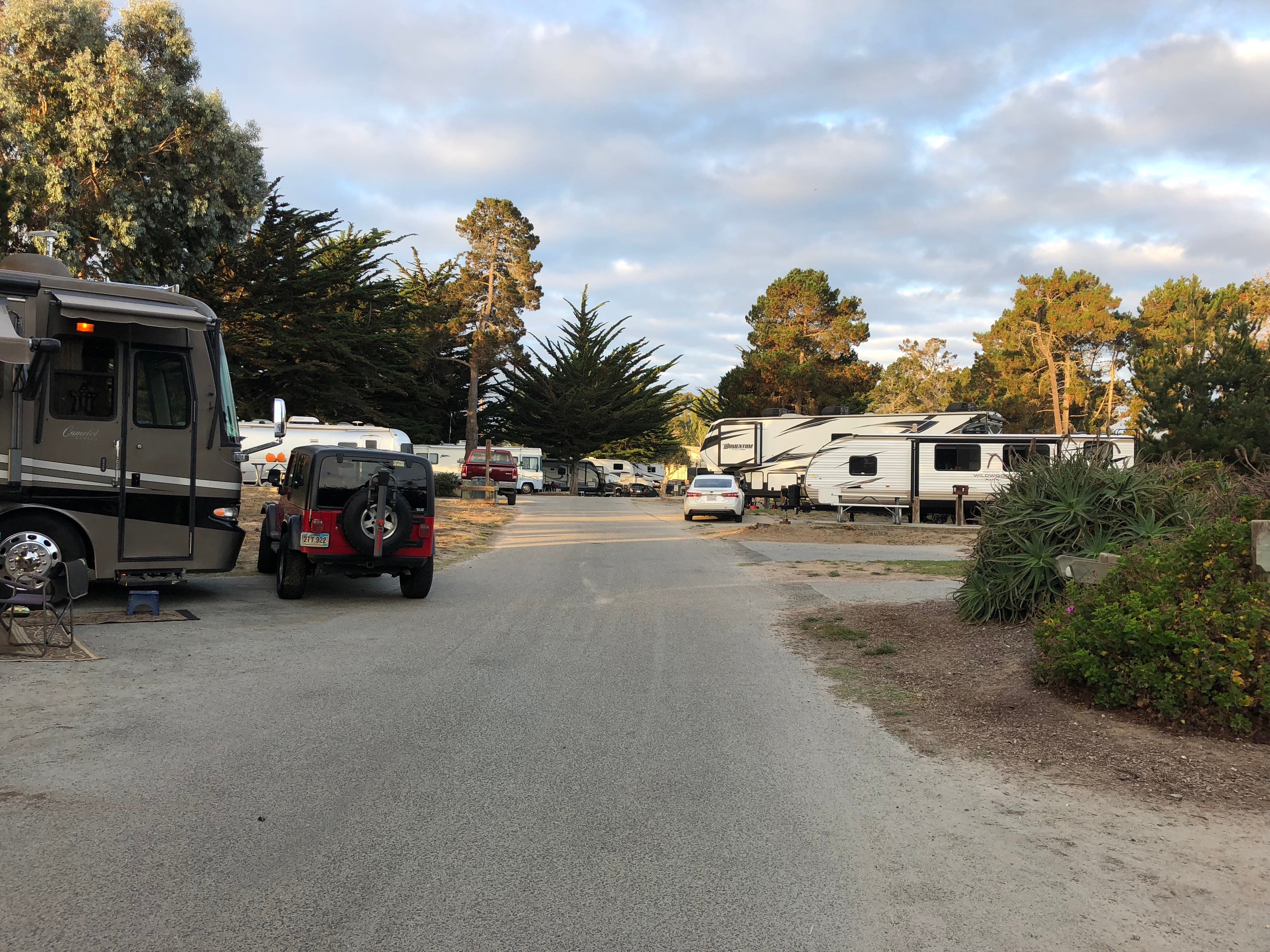 Camper submitted image from Monterey Pines RV Park - Military - 3