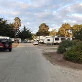 Review photo of Monterey Pines RV Park - Military by Erin S., October 28, 2018