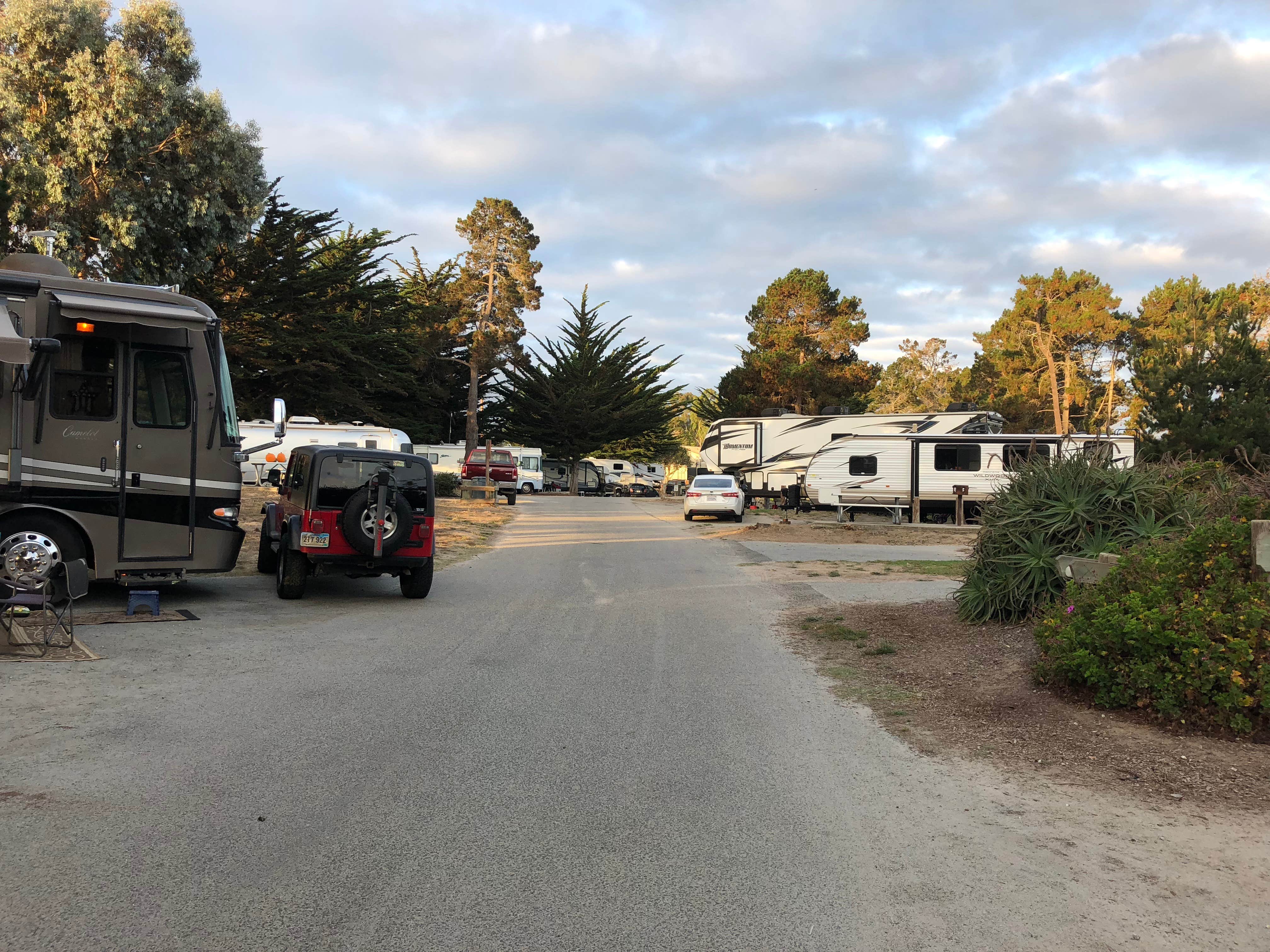 Camper submitted image from Monterey Pines RV Park - Military - 2