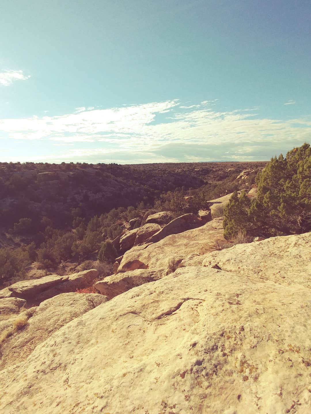 Camper submitted image from Hovenweep National Monument - 2