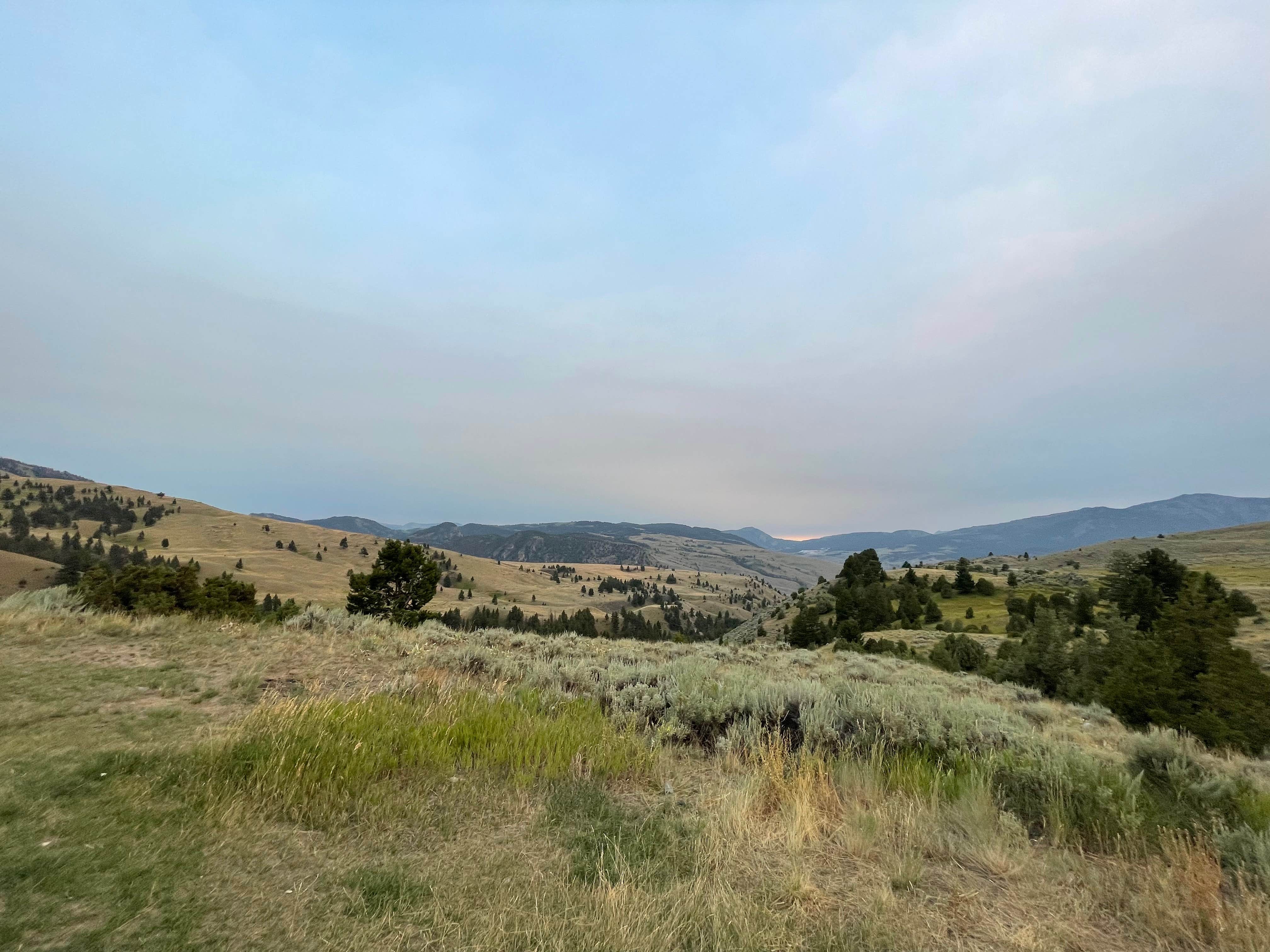 The W.'s photo of a dispersed camping area at Custer-Gallatin National Forest Dispersed Camping near Bozeman, MT