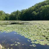 Review photo of Jenny Jump State Forest by Andi P., August 17, 2023