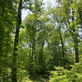 Review photo of Jenny Jump State Forest by Andi P., August 17, 2023