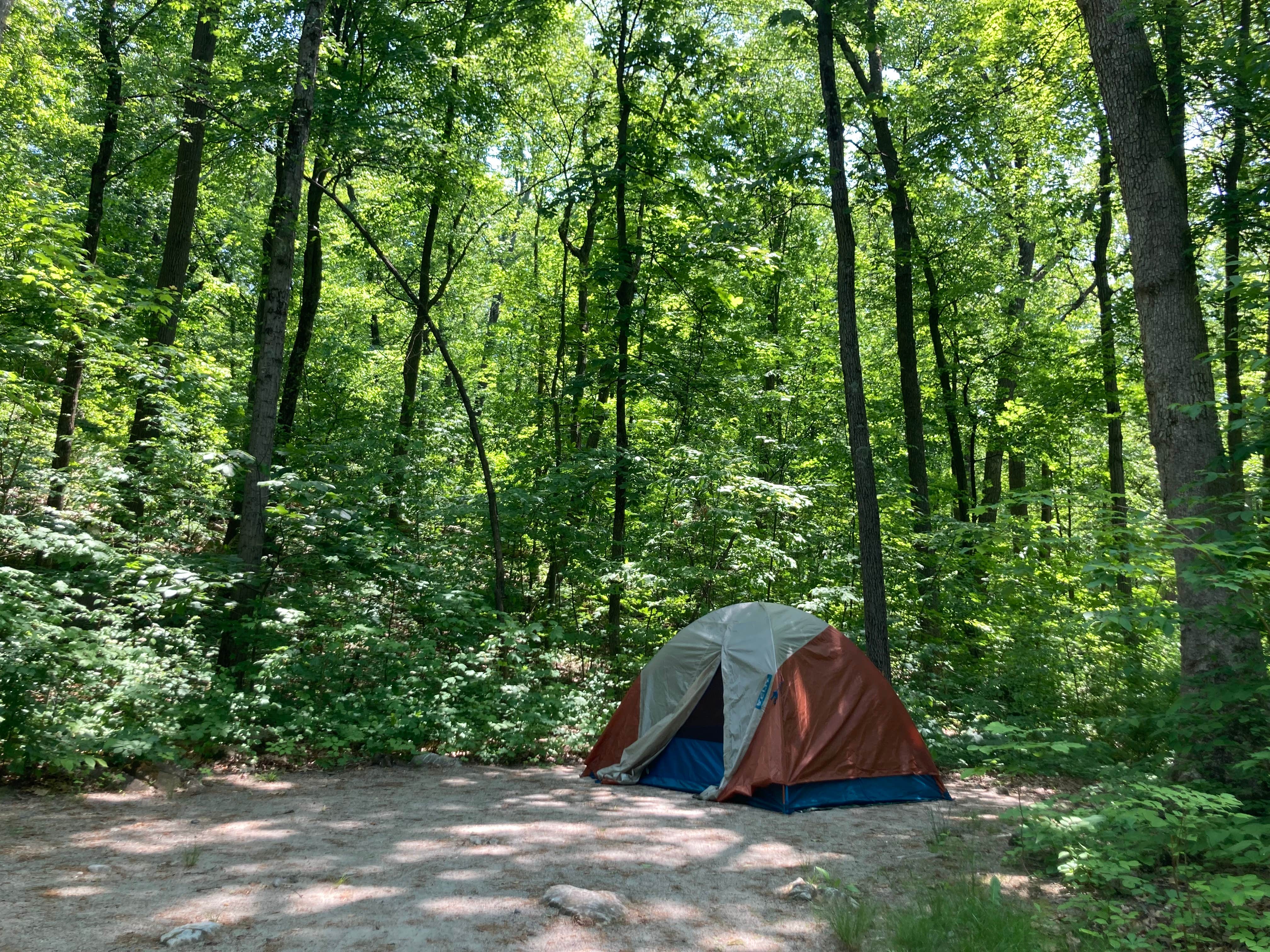 Andi P.'s photo of tent camping at Jenny Jump State Forest near Moscow, PA