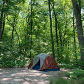 Review photo of Jenny Jump State Forest by Andi P., August 17, 2023