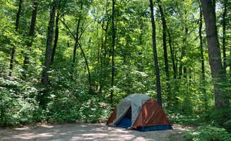 Andi P.'s photo of tent camping at Jenny Jump State Forest in New Jersey