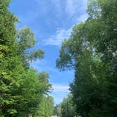 Review photo of North Higgins Lake State Park Campground by Daphne , August 17, 2023