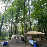 Review photo of North Higgins Lake State Park Campground by Daphne , August 17, 2023
