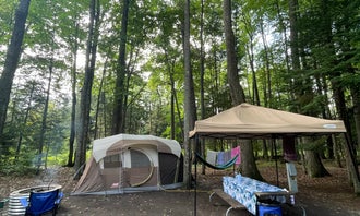Camping near Houghton Lake Travel Park Campground: North Higgins Lake State Park Campground, Higgins Lake, Michigan