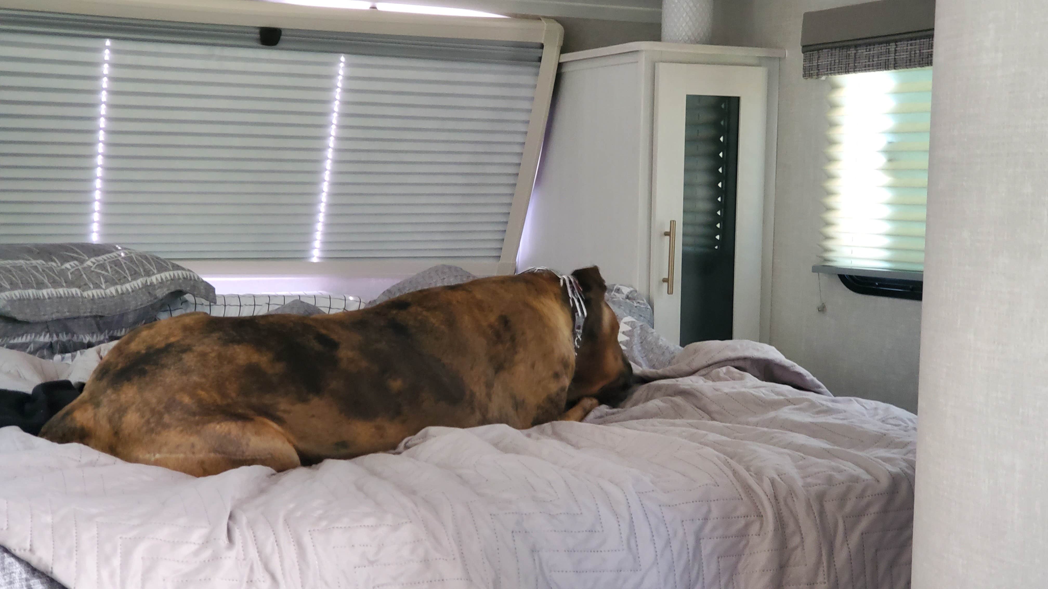 Steven M.'s photo of glamping accommodations at Joes Valley Campground near Fairview, UT