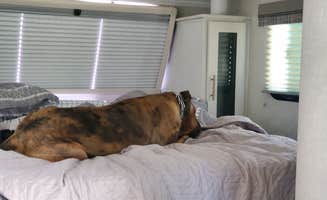 Steven M.'s photo of glamping accommodations at Joes Valley Campground near Fayette, UT