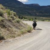 Review photo of Joes Valley Campground by Steven M., June 27, 2022