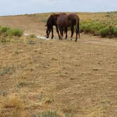 Review photo of Green River Flaming Gorge Dispersed Site by Cyndy & Selena R., August 17, 2023