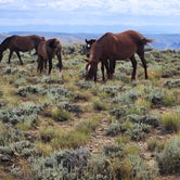 Review photo of Green River Flaming Gorge Dispersed Site by Cyndy & Selena R., August 17, 2023