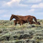 Review photo of Green River Flaming Gorge Dispersed Site by Cyndy & Selena R., August 17, 2023