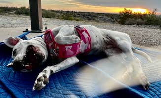Austin and Christel S.'s photo of camping with pets at Haystack Mountain OHV Area near Dexter, NM