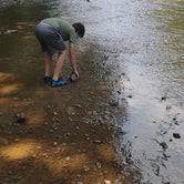 Review photo of Pequea Creek Campground by Gabriel C., August 17, 2023