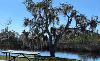 Stuart K.'s photo of a dispersed camping area at Princess Place Preserve - Moody Campground near Palm Coast, FL