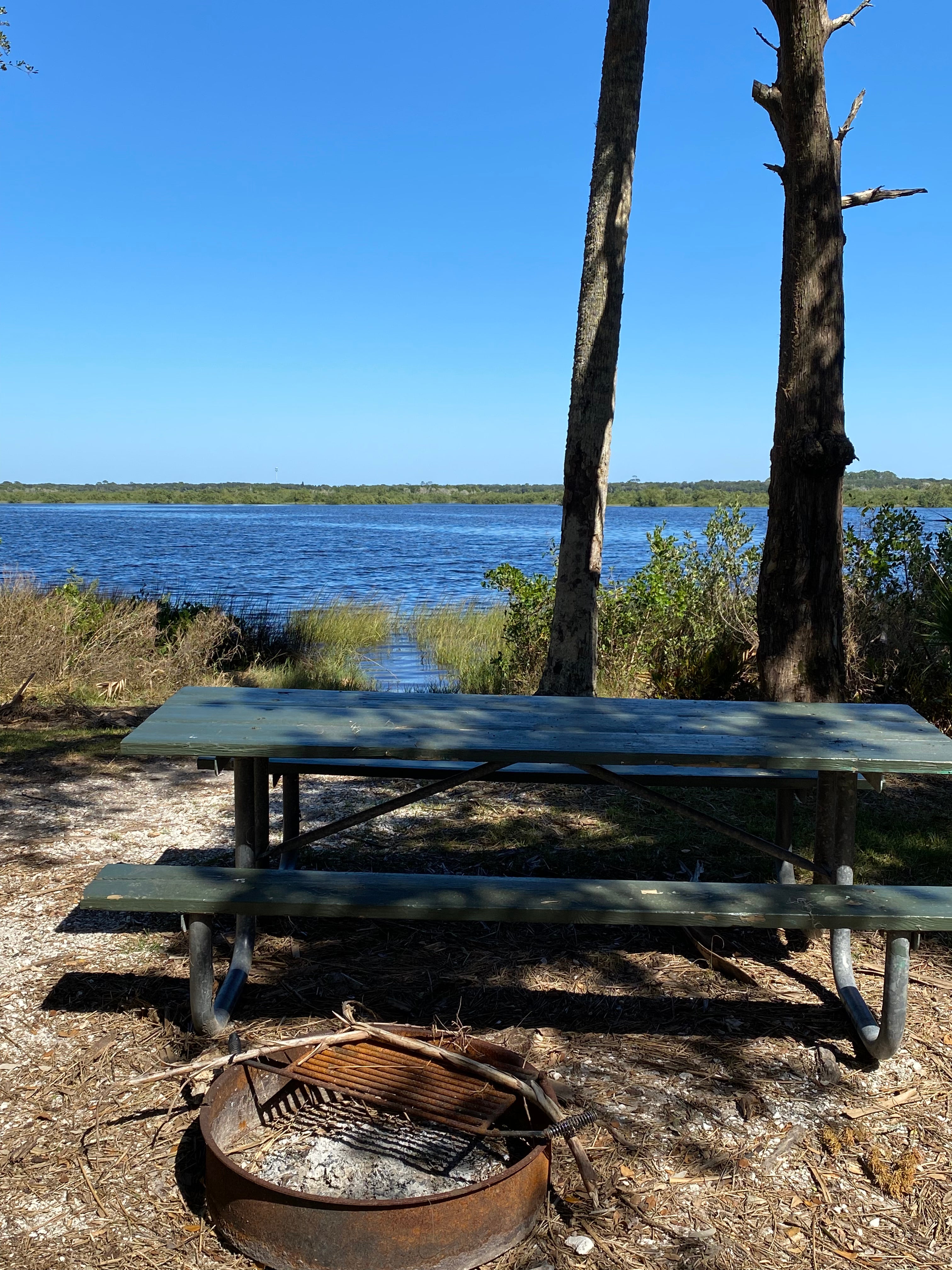 Camper submitted image from Princess Place Preserve - Moody Campground - 3