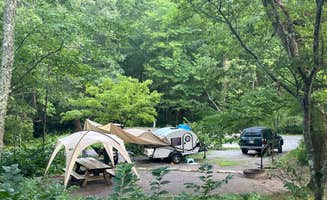 Steve G.'s photo at Chilhowee Recreation Area near Cleveland, TN
