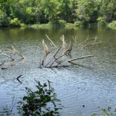 Review photo of Chilhowee Recreation Area by Steve G., August 17, 2023