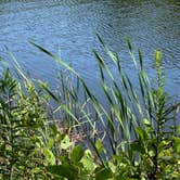 Review photo of Chilhowee Recreation Area by Steve G., August 17, 2023