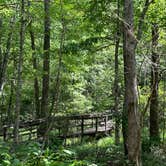 Review photo of Chilhowee Recreation Area by Steve G., August 17, 2023