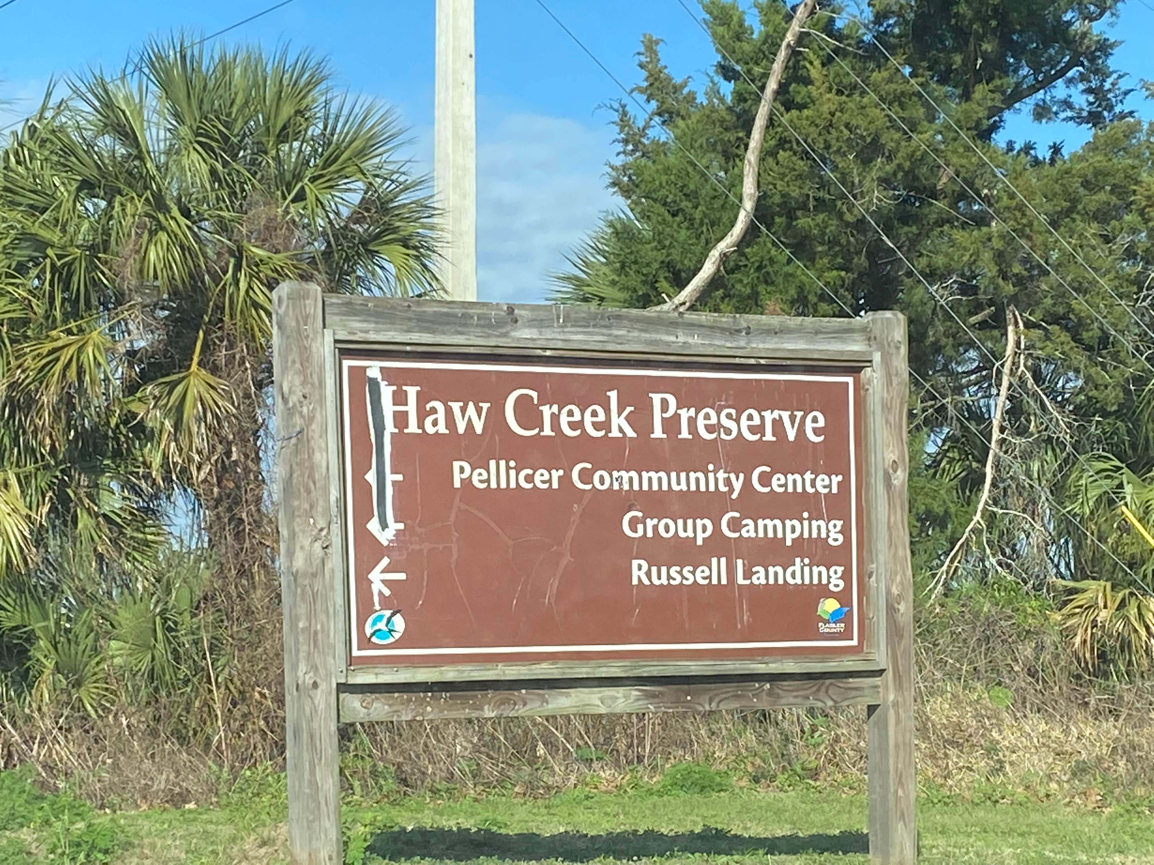 Camper submitted image from Haw Creek Preserve State Park Dispersed - 4