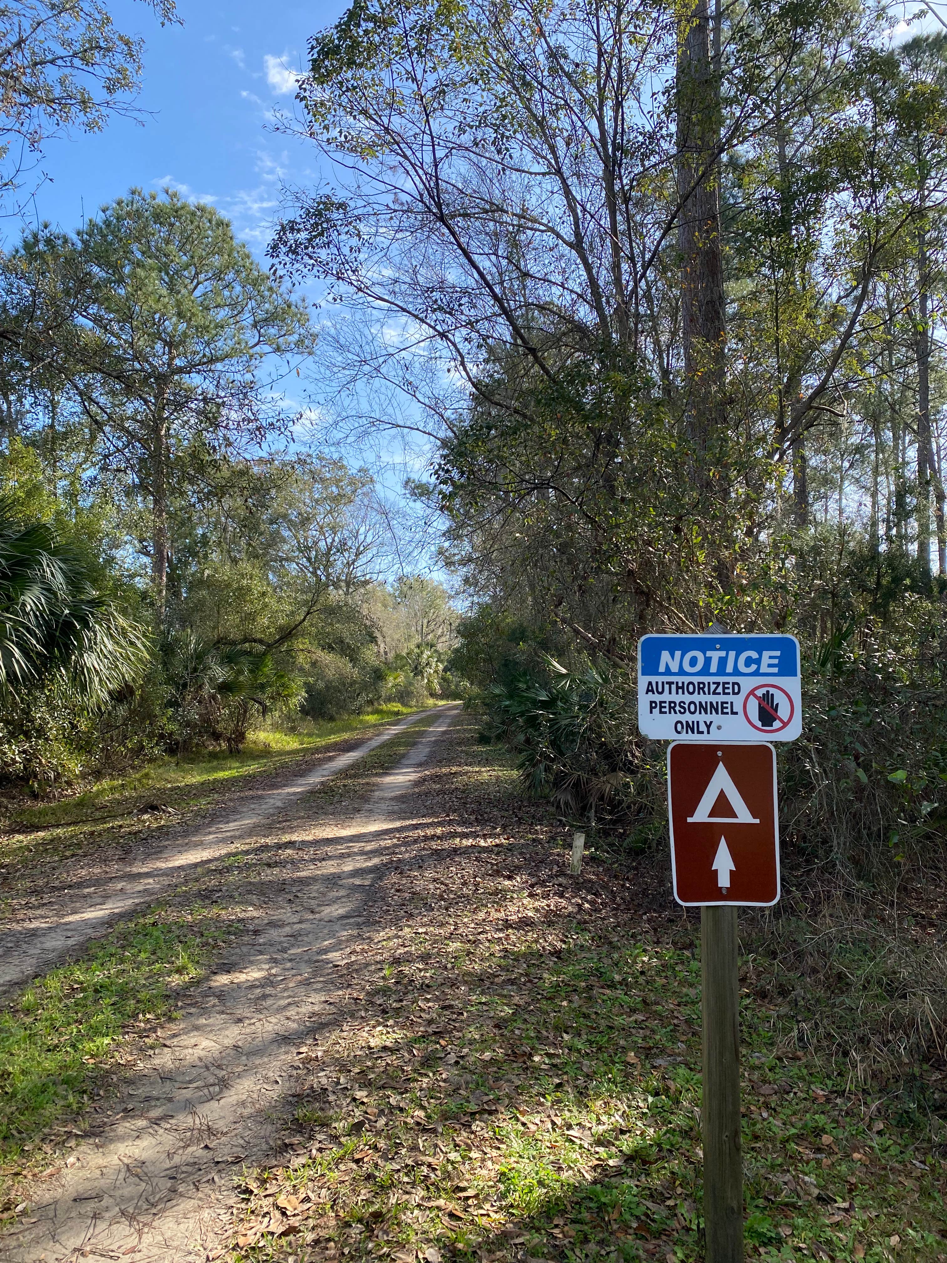 Camper submitted image from Haw Creek Preserve State Park Dispersed - 2