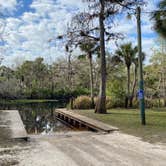 Review photo of Haw Creek Preserve State Park Dispersed by Stuart K., August 17, 2023