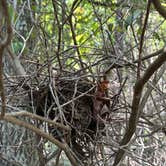 Review photo of Chilhowee Recreation Area by Steve G., August 17, 2023