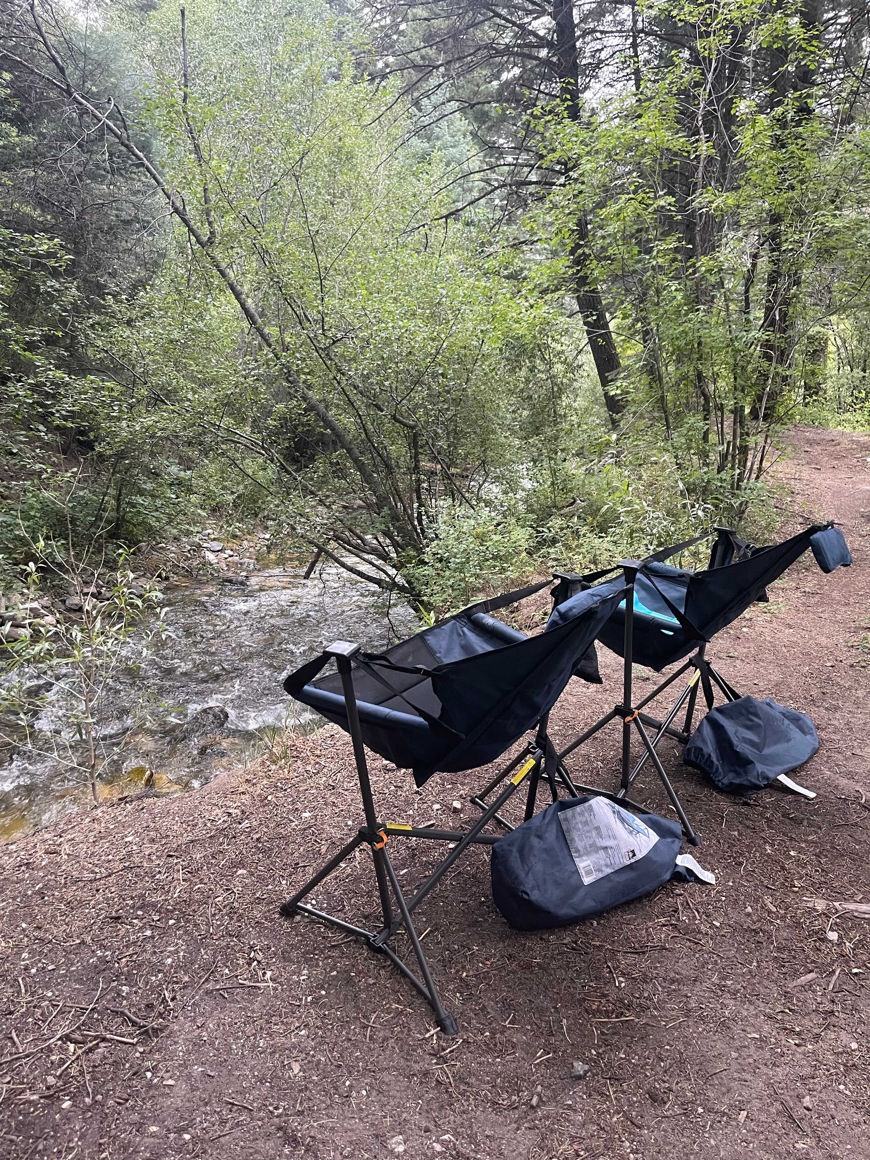 Camper submitted image from Arroyo Seco Dispersed NF Camping - 4