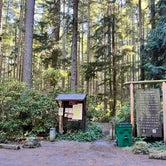 Review photo of Rhododendron Campground by Mark S., August 17, 2023