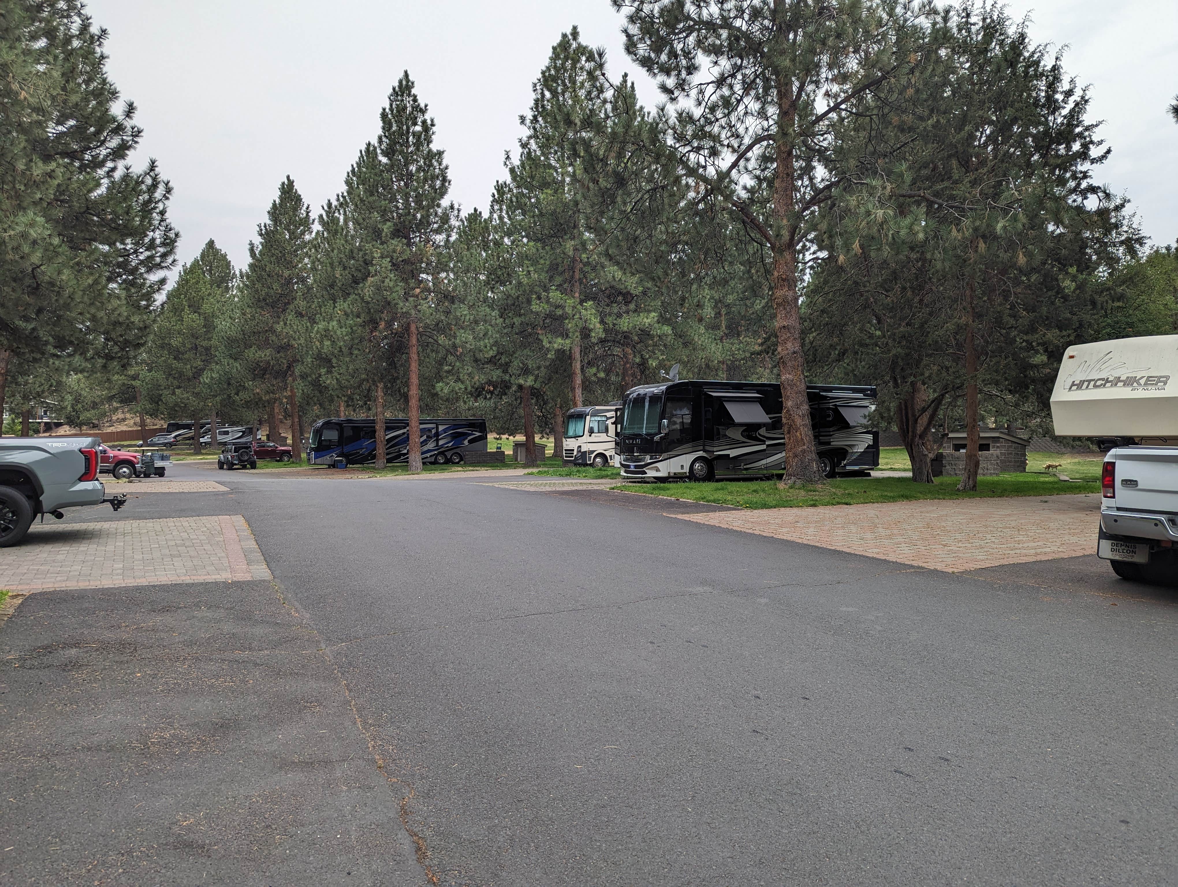 Camper-submitted photo at Crown Villa RV Resort near Deschutes & Ochoco National Forests & Crooked River National Grassland