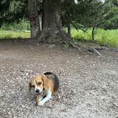 Review photo of Caribou National Forest Emigration Campground by Erin M., August 17, 2023