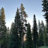 Review photo of Caribou National Forest Emigration Campground by Erin M., August 17, 2023