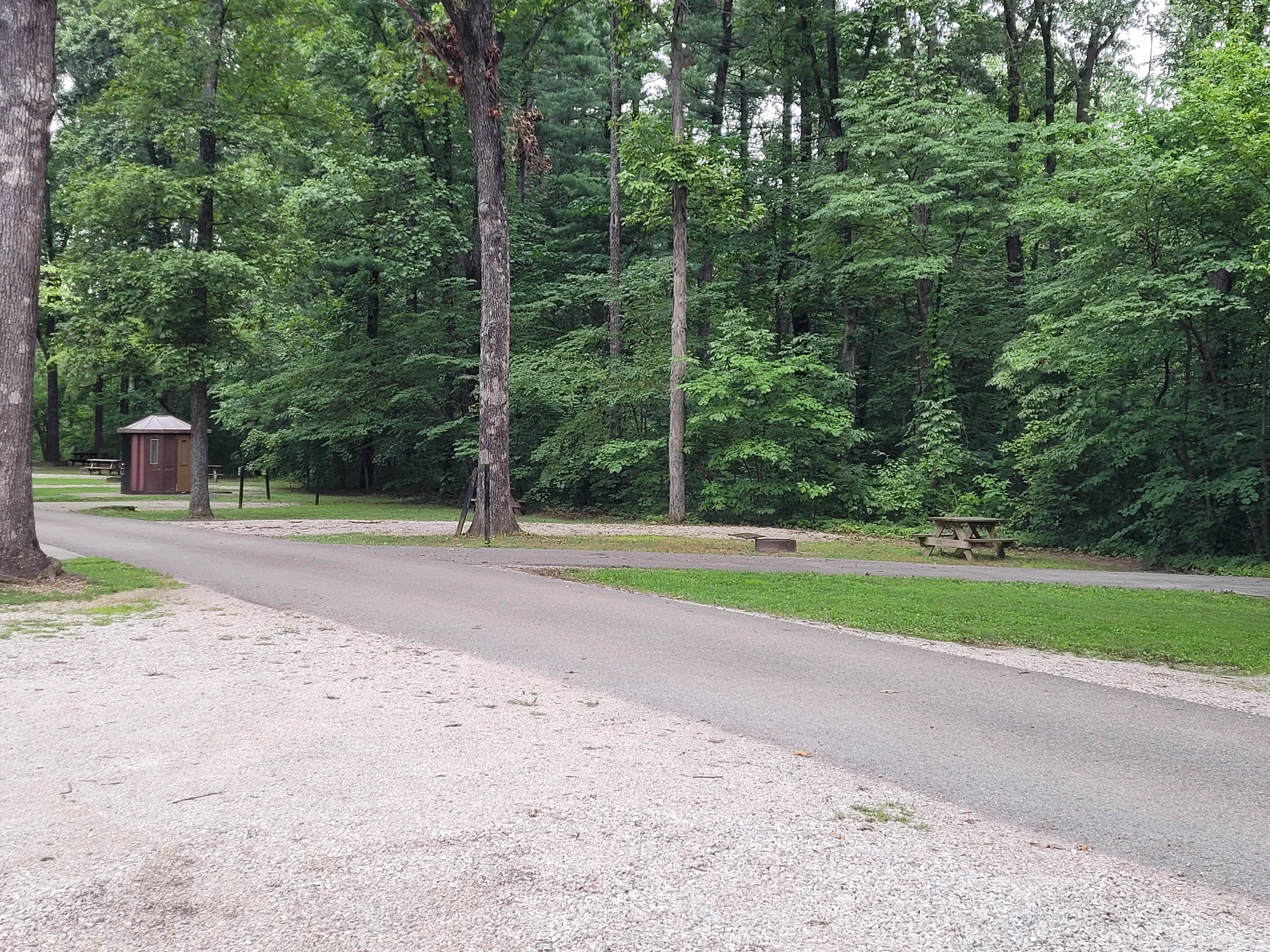 Camper-submitted photo at Martin State Forest near French Lick, IN