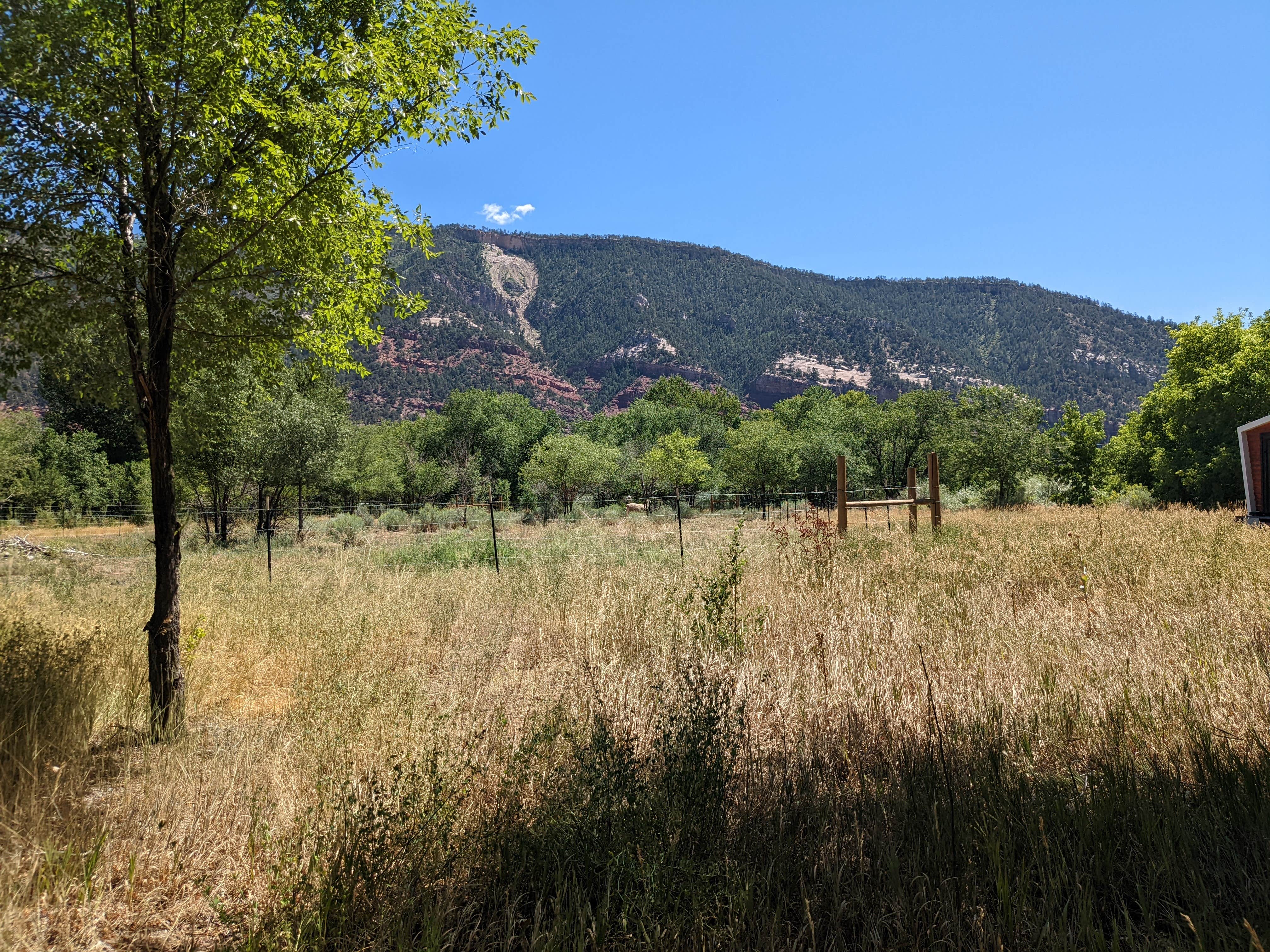 Camping near Alpen Rose RV Park: Tumbling Rock Lane, Durango, Colorado