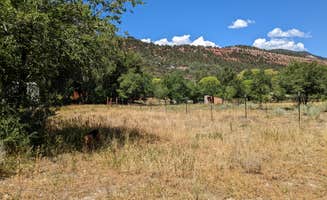 Aubrey V.'s photo of camping with pets at Tumbling Rock Lane near San Juan National Forest