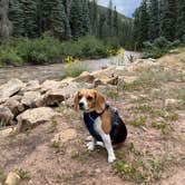 Review photo of Mavreeso Campground by Erin M., August 17, 2023
