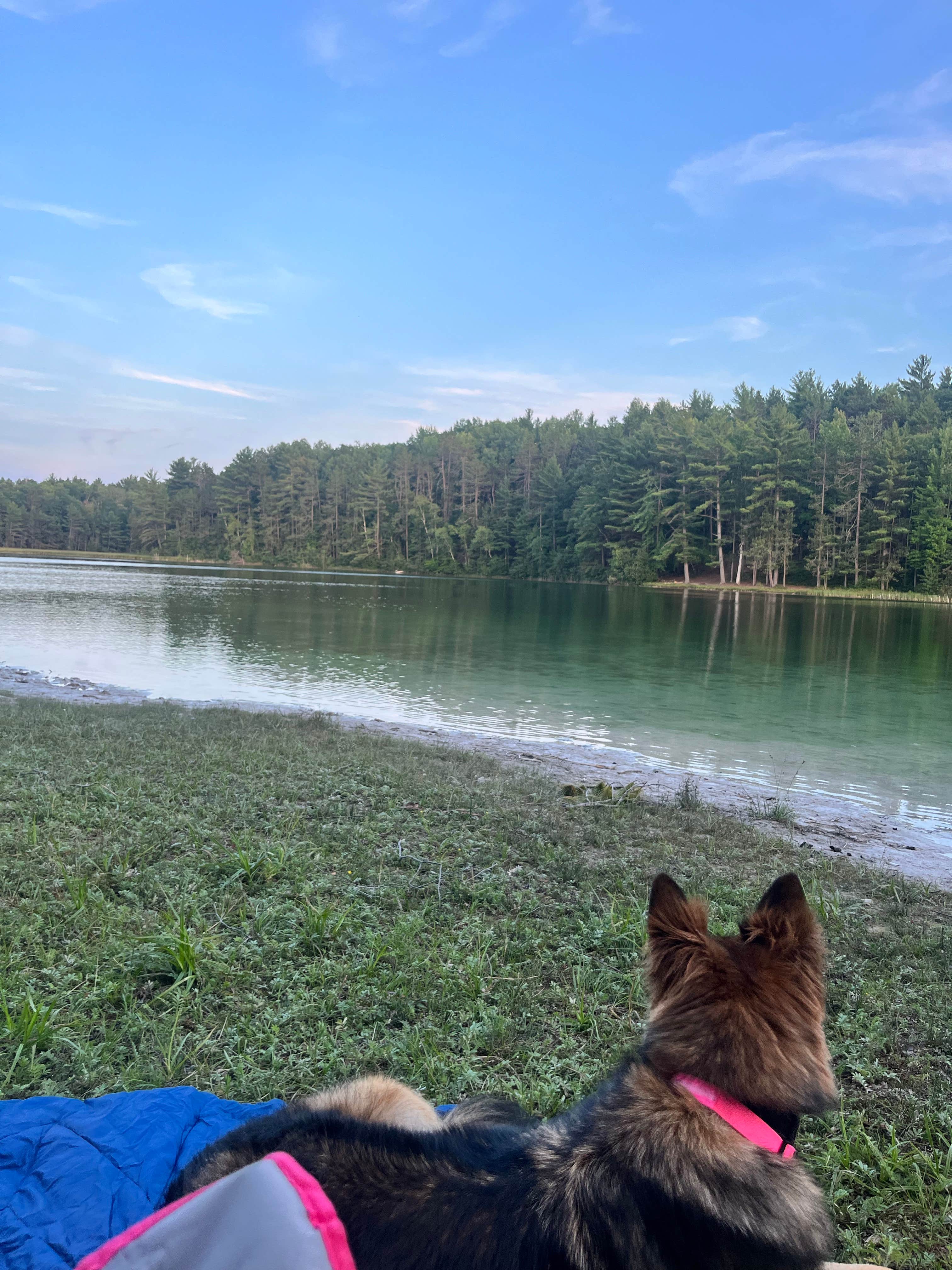 Rachael T.'s photo of a dispersed camping area at Sand Lakes Quiet Area Backcountry Campsites near Lake Leelanau, MI