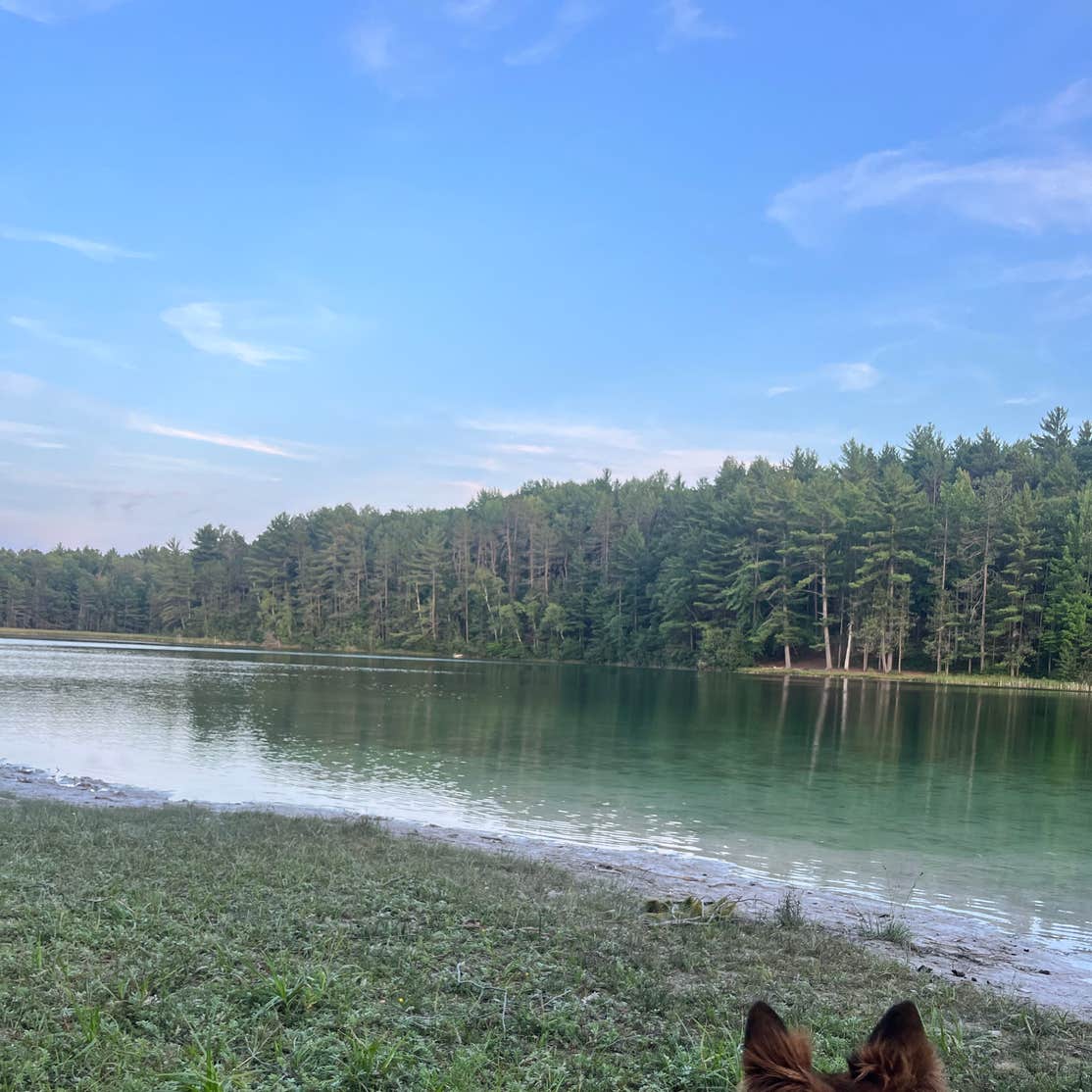 Sand Lakes Quiet Area Backcountry Campsites Williamsburg, MI