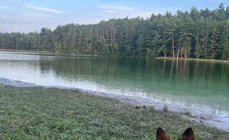 Rachael T.'s photo of camping with pets at Sand Lakes Quiet Area Backcountry Campsites near Traverse City, MI