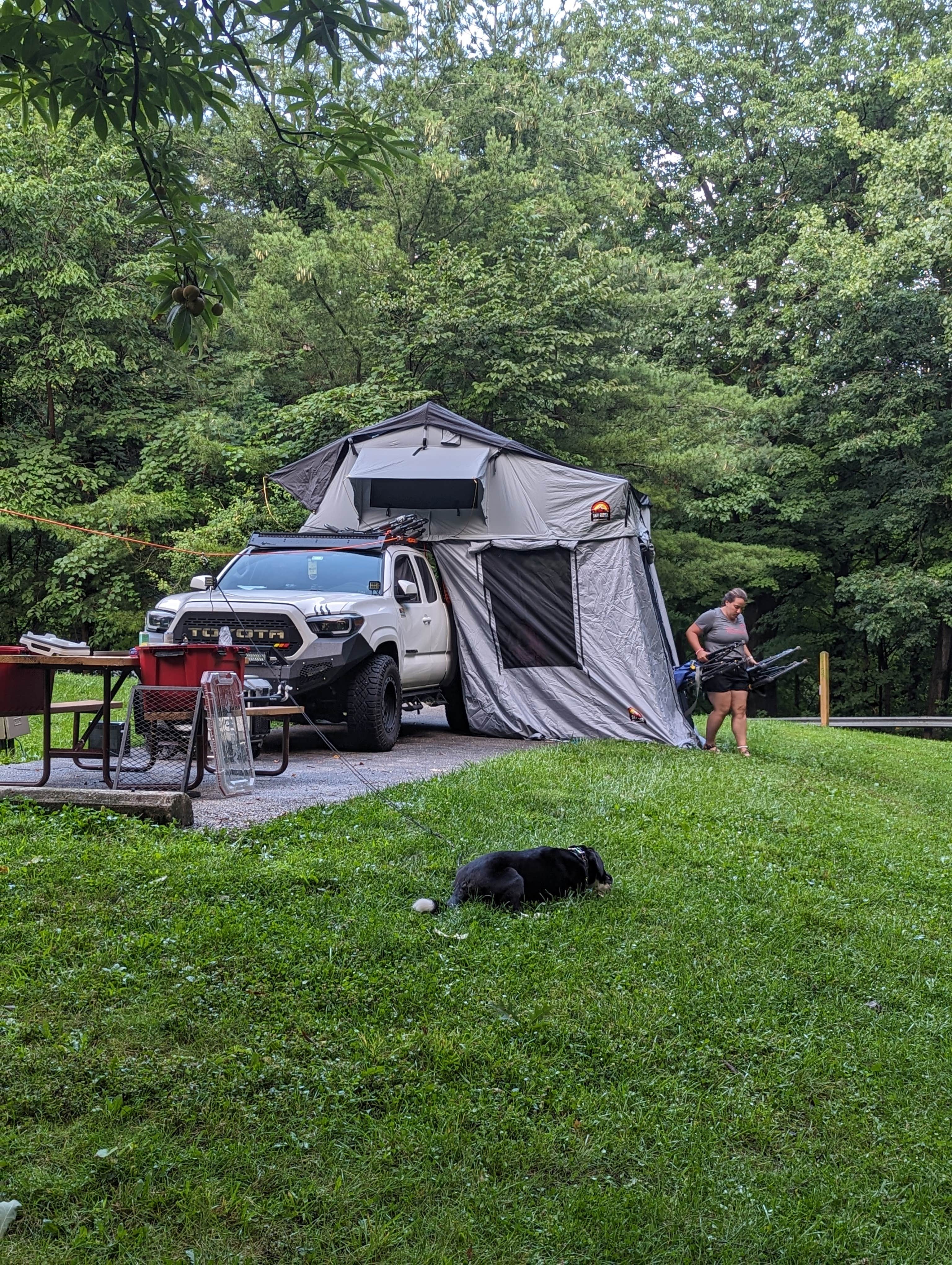 Zac C.'s photo of camping with pets at Punderson State Park Campground near Cleveland, OH