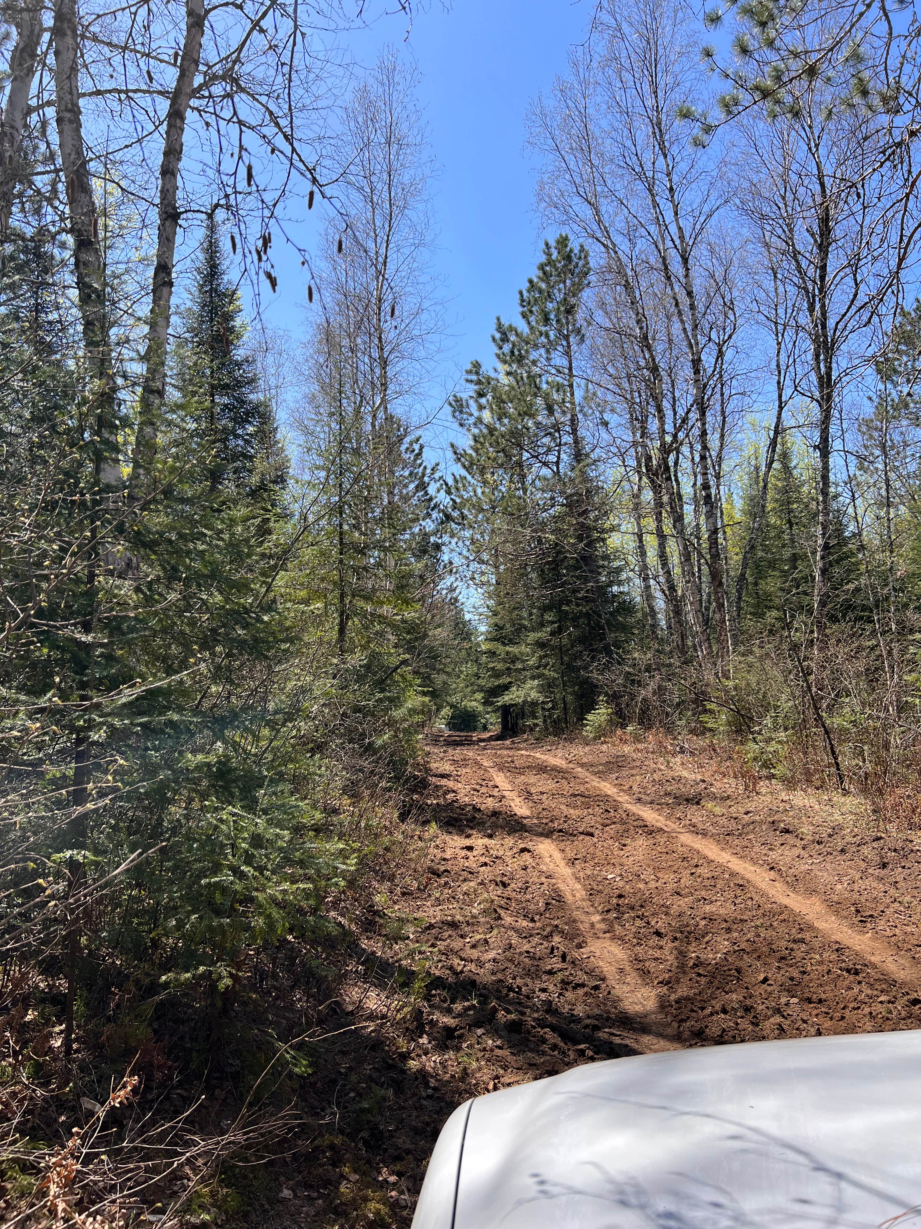 Camper-submitted photo at The Sanctuary Forest near Chisholm, MN