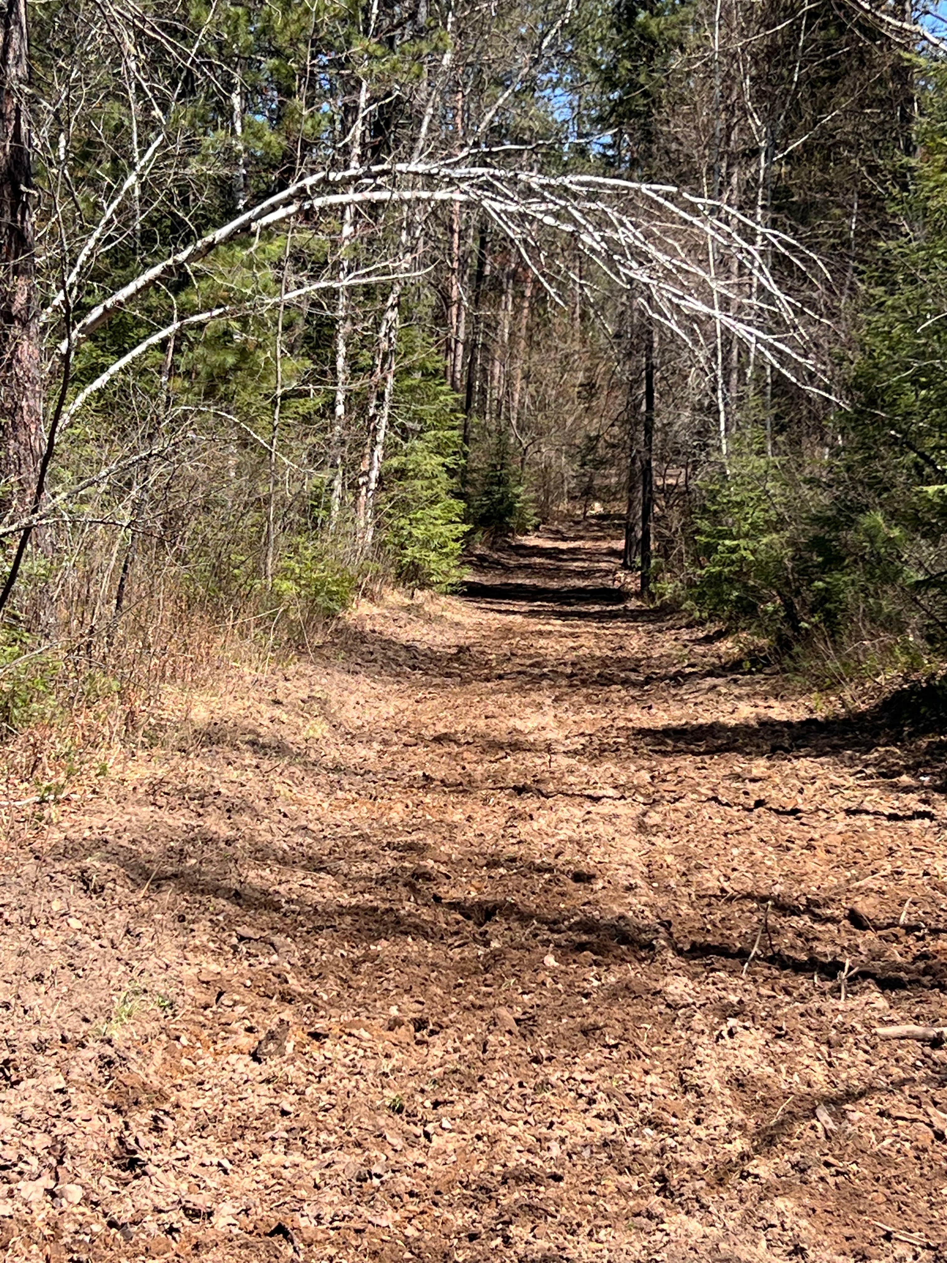 Camper-submitted photo at The Sanctuary Forest near Chisholm, MN